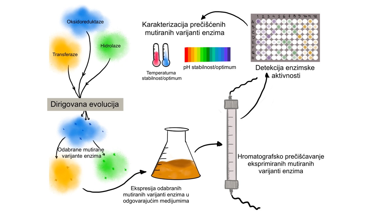 Grupa za bioinzenjering lab 434